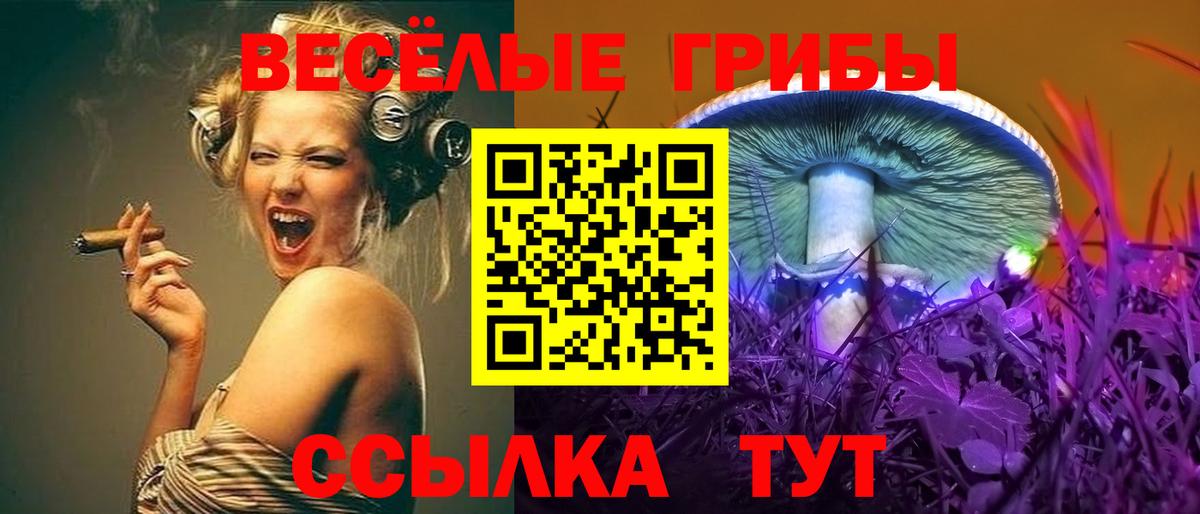 Кирово-Чепецк  Псилоцибиновые грибы мицелий  Вход с VPN  Псилоцибиновые грибы прущие грибы 